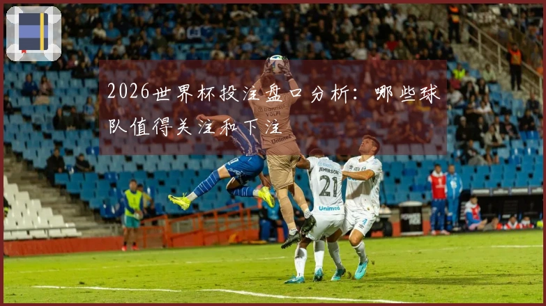 2026世界杯投注盘口分析：哪些球队值得关注和下注