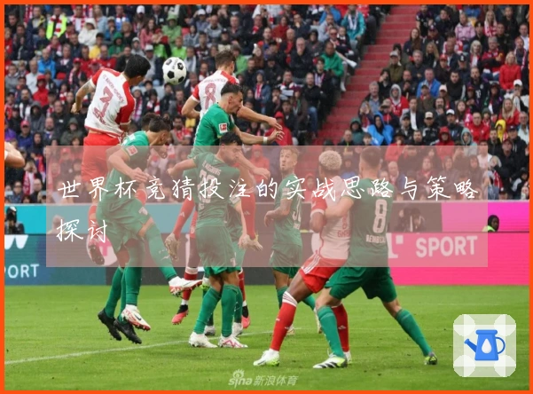 世界杯竞猜投注的实战思路与策略探讨