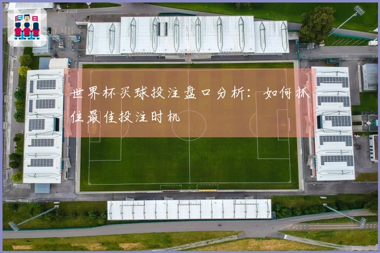 世界杯买球投注盘口分析：如何抓住最佳投注时机