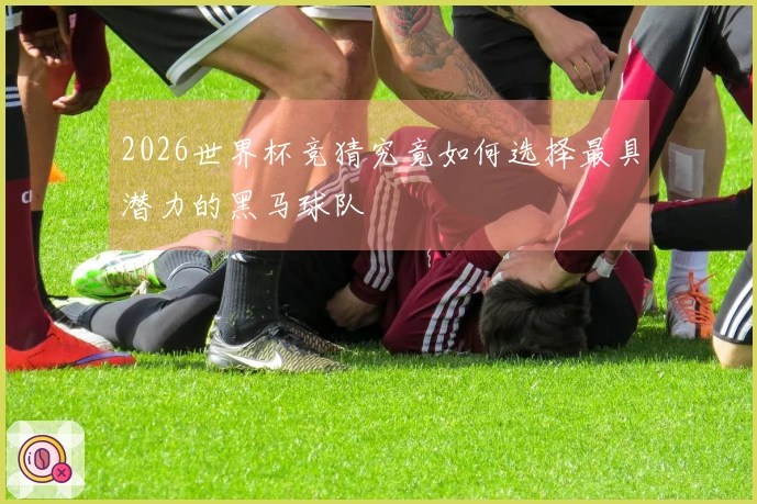 2026世界杯竞猜究竟如何选择最具潜力的黑马球队