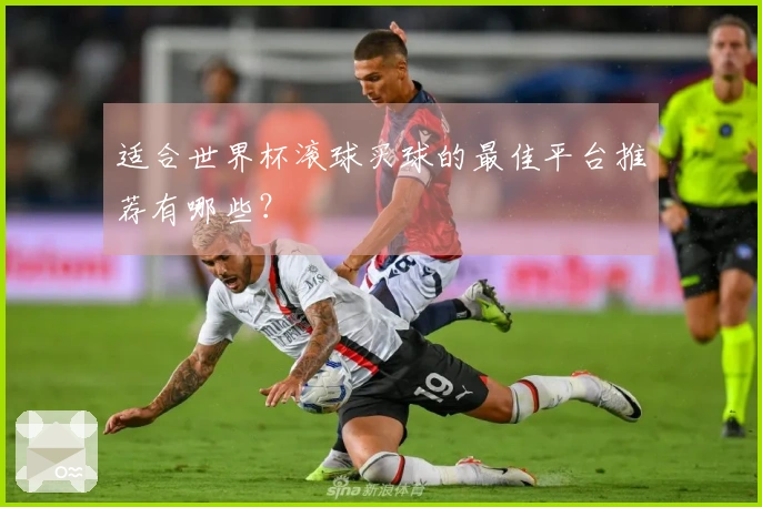 适合世界杯滚球买球的最佳平台推荐有哪些？