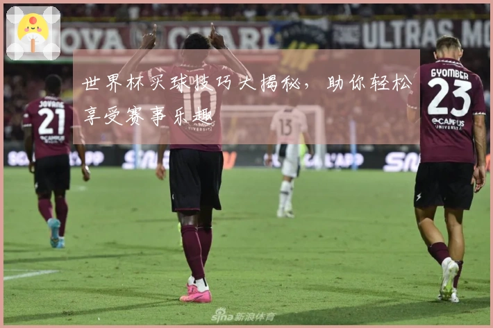 世界杯买球技巧大揭秘，助你轻松享受赛事乐趣