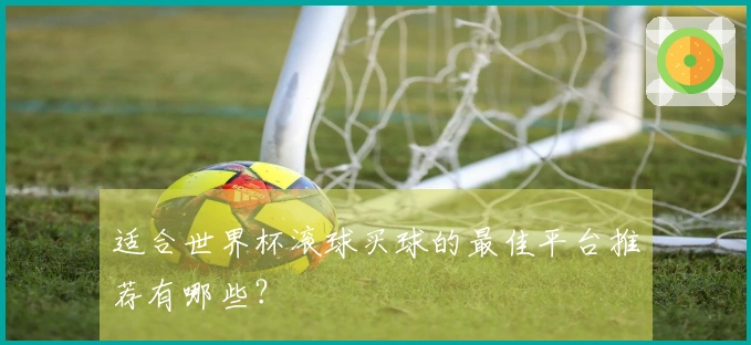 适合世界杯滚球买球的最佳平台推荐有哪些？