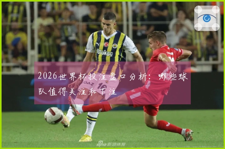 2026世界杯投注盘口分析：哪些球队值得关注和下注