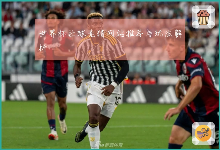 世界杯让球竞猜网站推荐与玩法解析