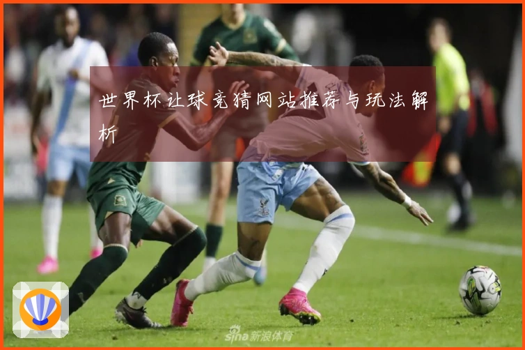 世界杯让球竞猜网站推荐与玩法解析