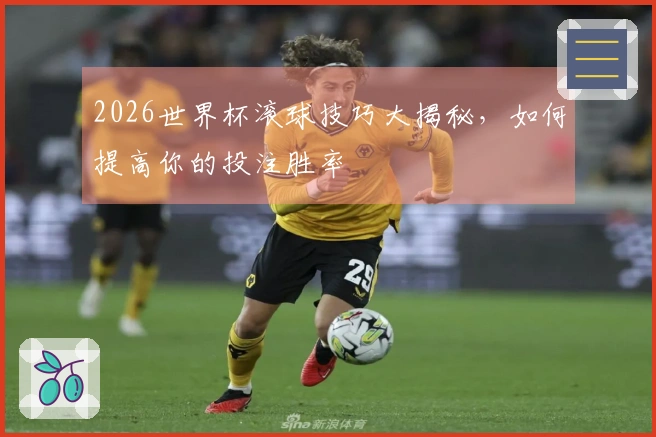 2026世界杯滚球技巧大揭秘，如何提高你的投注胜率